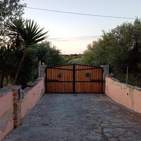 Villa Relax Tra Gli Ulivi Alghero Exteriér fotografie