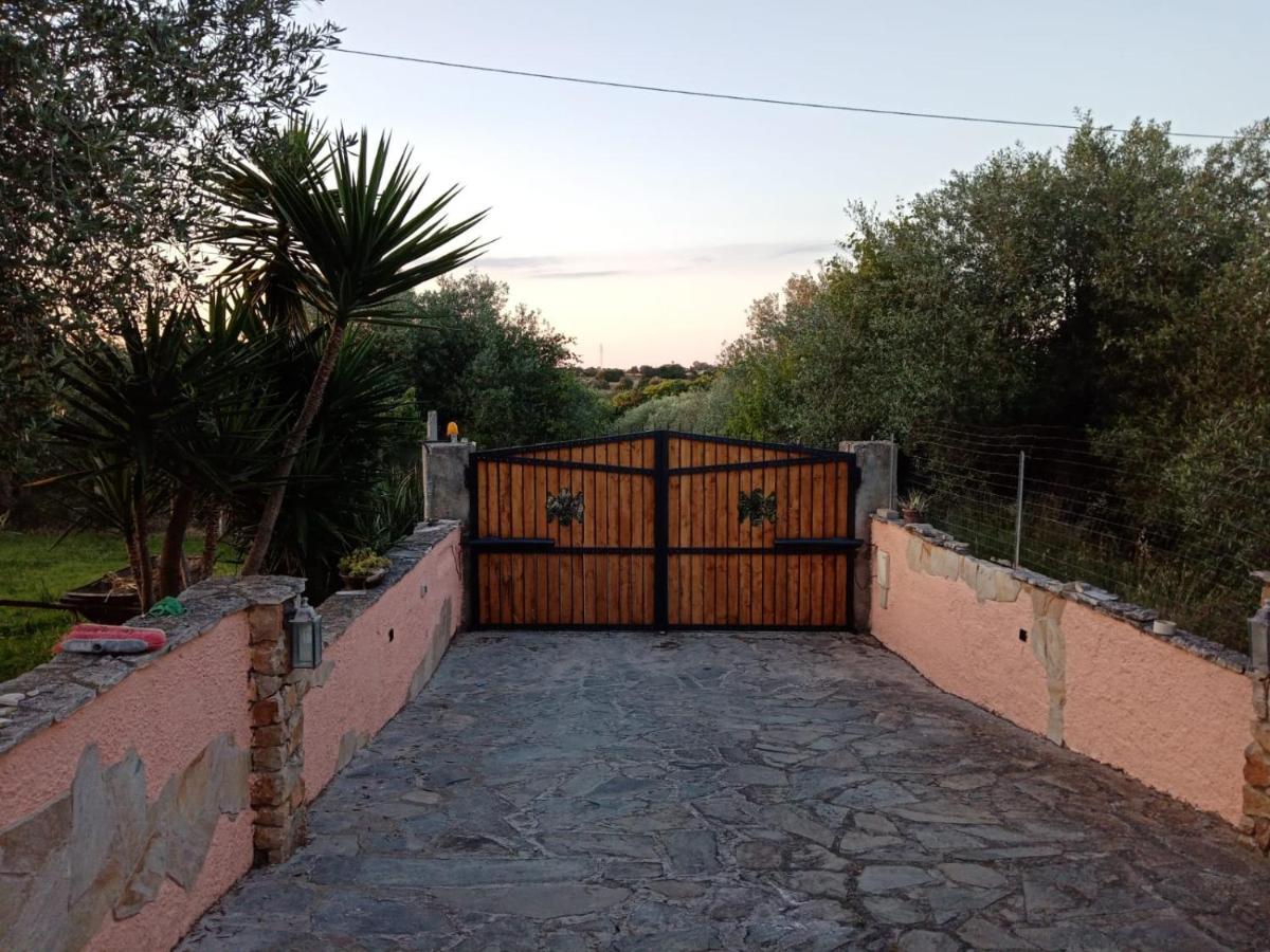 Villa Relax Tra Gli Ulivi Alghero Exteriér fotografie