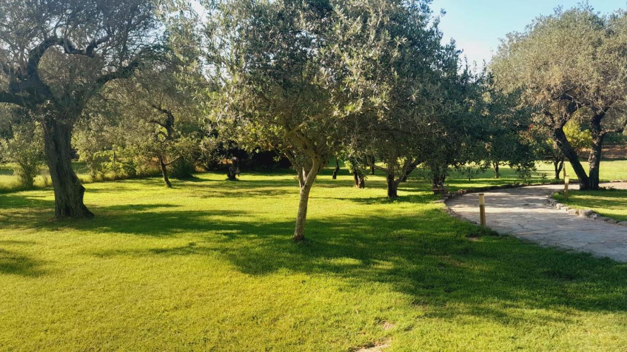 Villa Relax Tra Gli Ulivi Alghero Exteriér fotografie